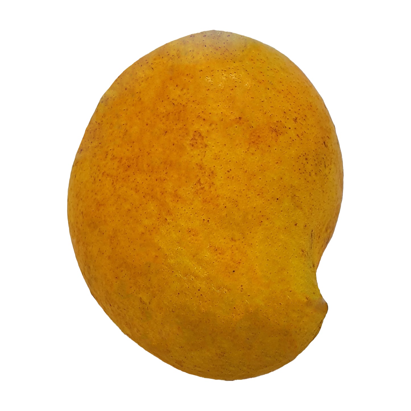 アルフォンソマンゴー (1kg)