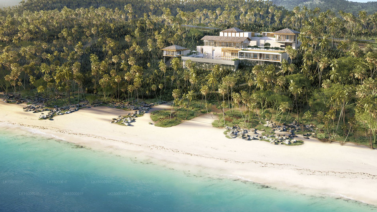 アマンウェラ、タンガラ