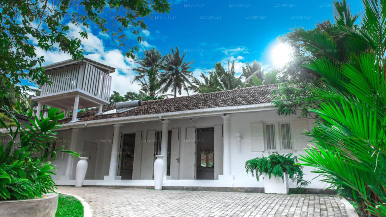 W15 エスケープ、アハンガマ