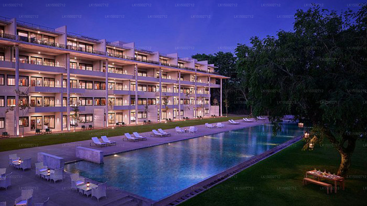 ジェットウィング湖、ダンブッラ