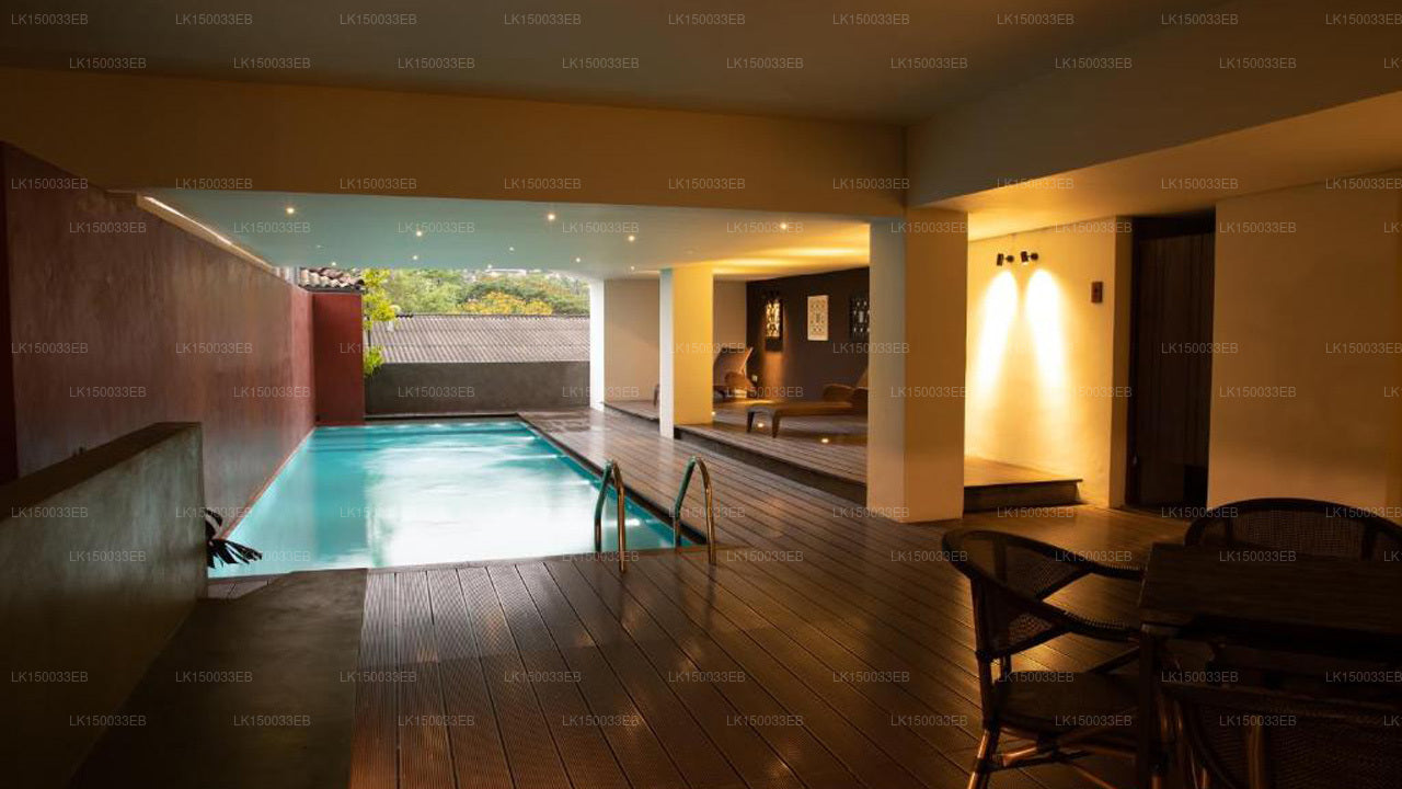 レイクアベニュー、キャンディ