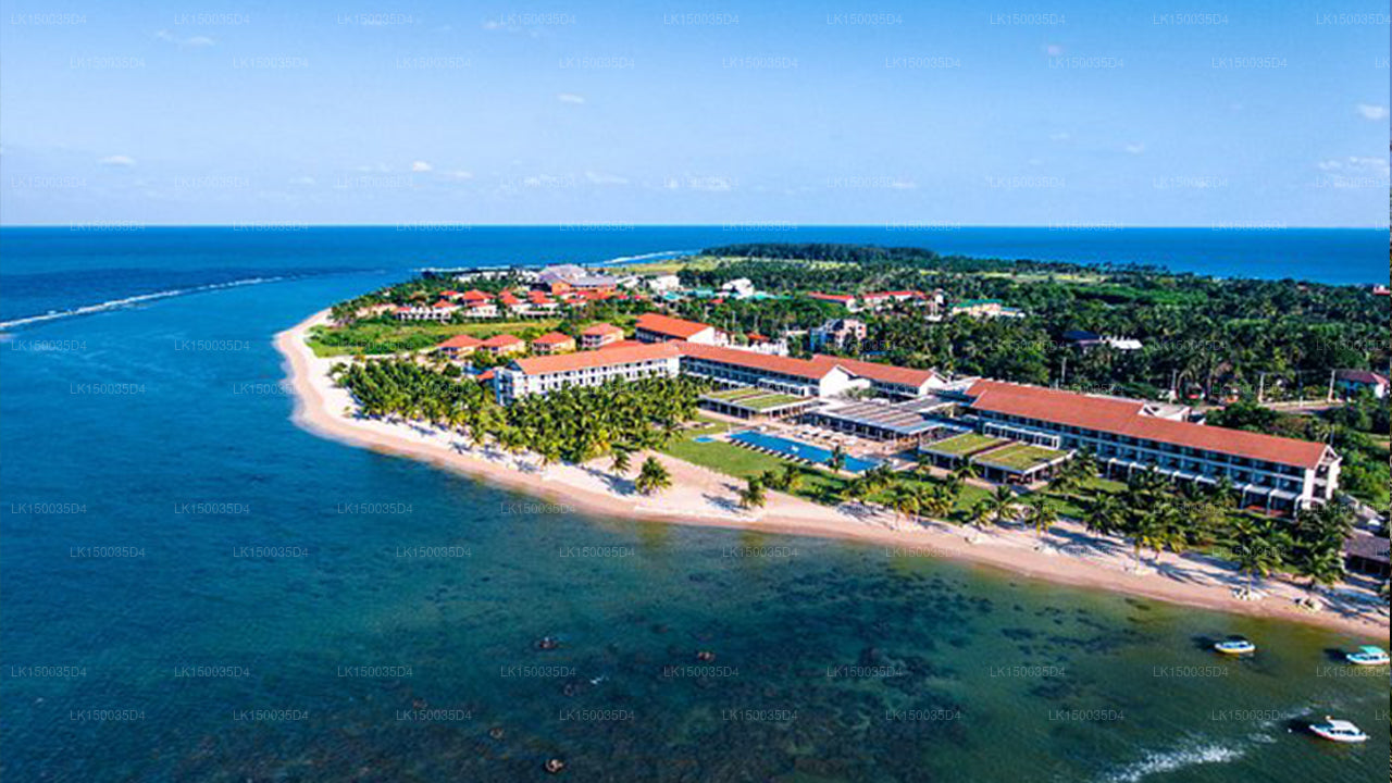 パシクダのアマヤ ビーチ