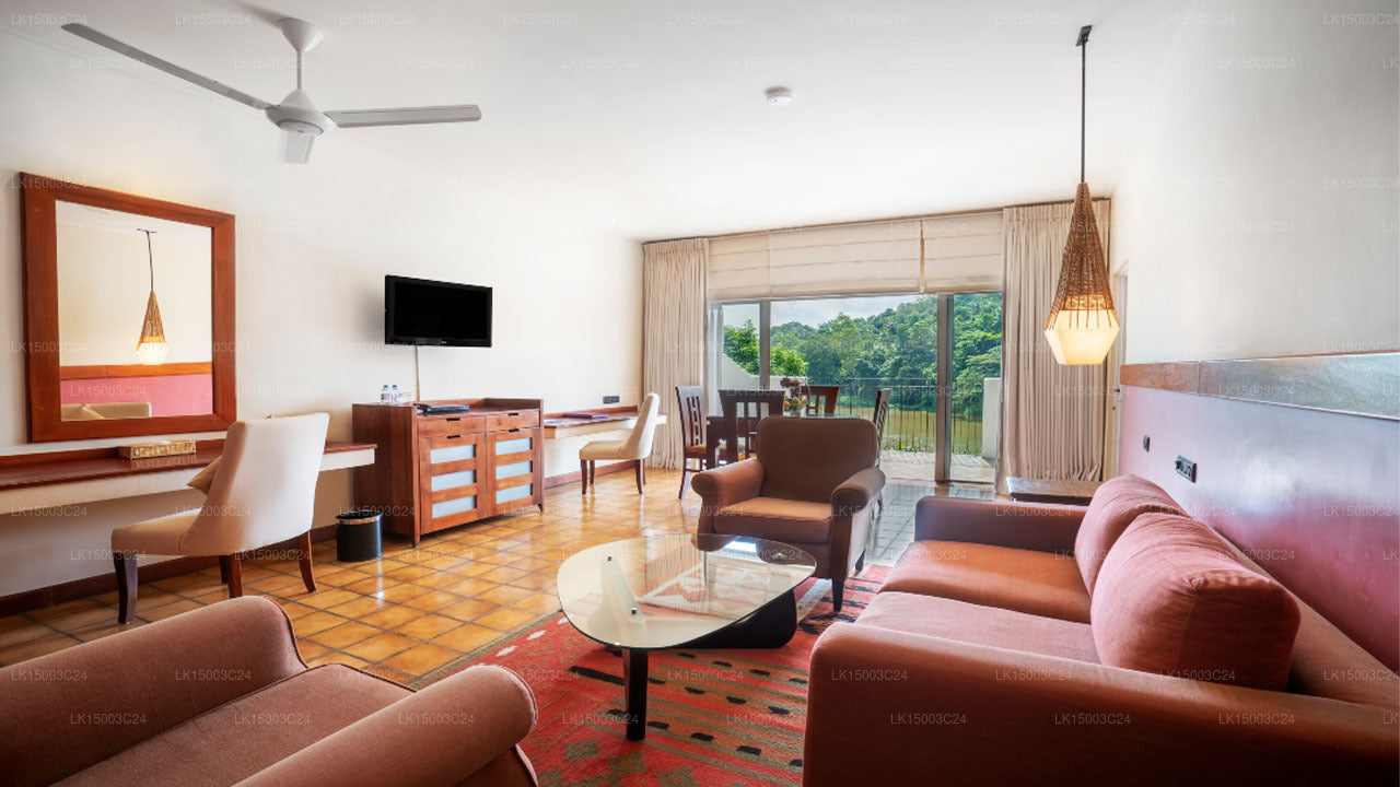 シナモン シタデル (キャンディ)