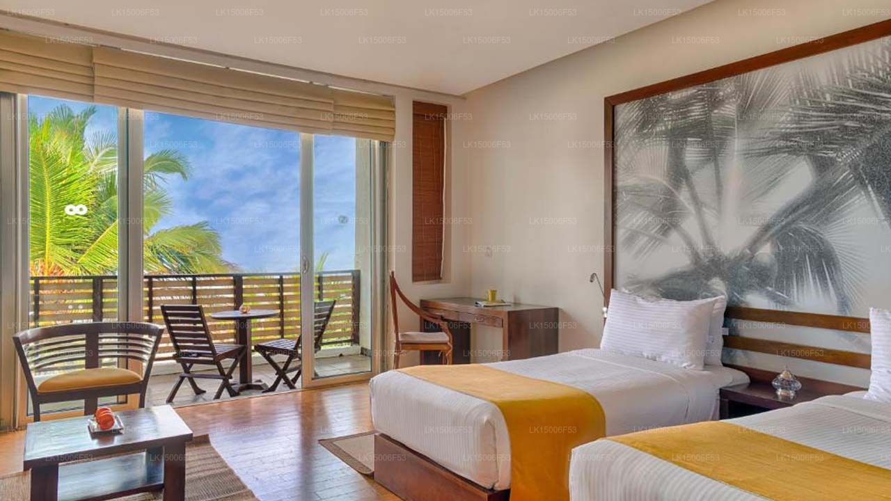 ジェットウィング海、ニゴンボ