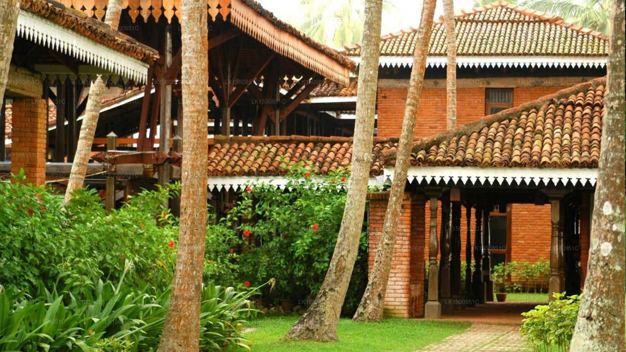 クラブ ベントータ (ベントータ)