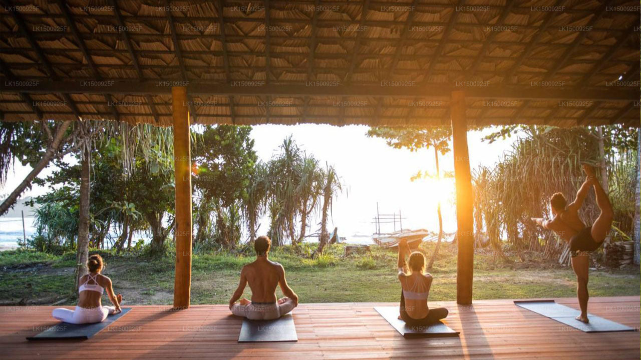 タララ リトリート (マータラ)