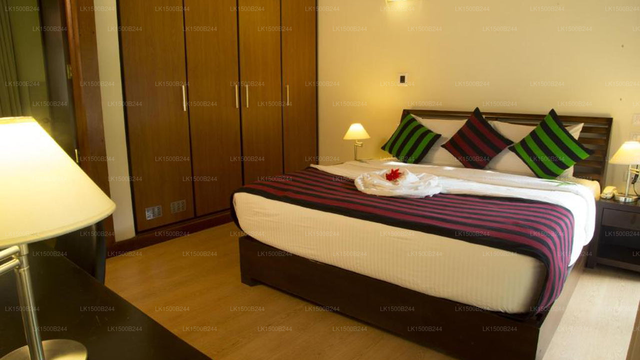 オクシデンタルパラダイス、ダンブッラ