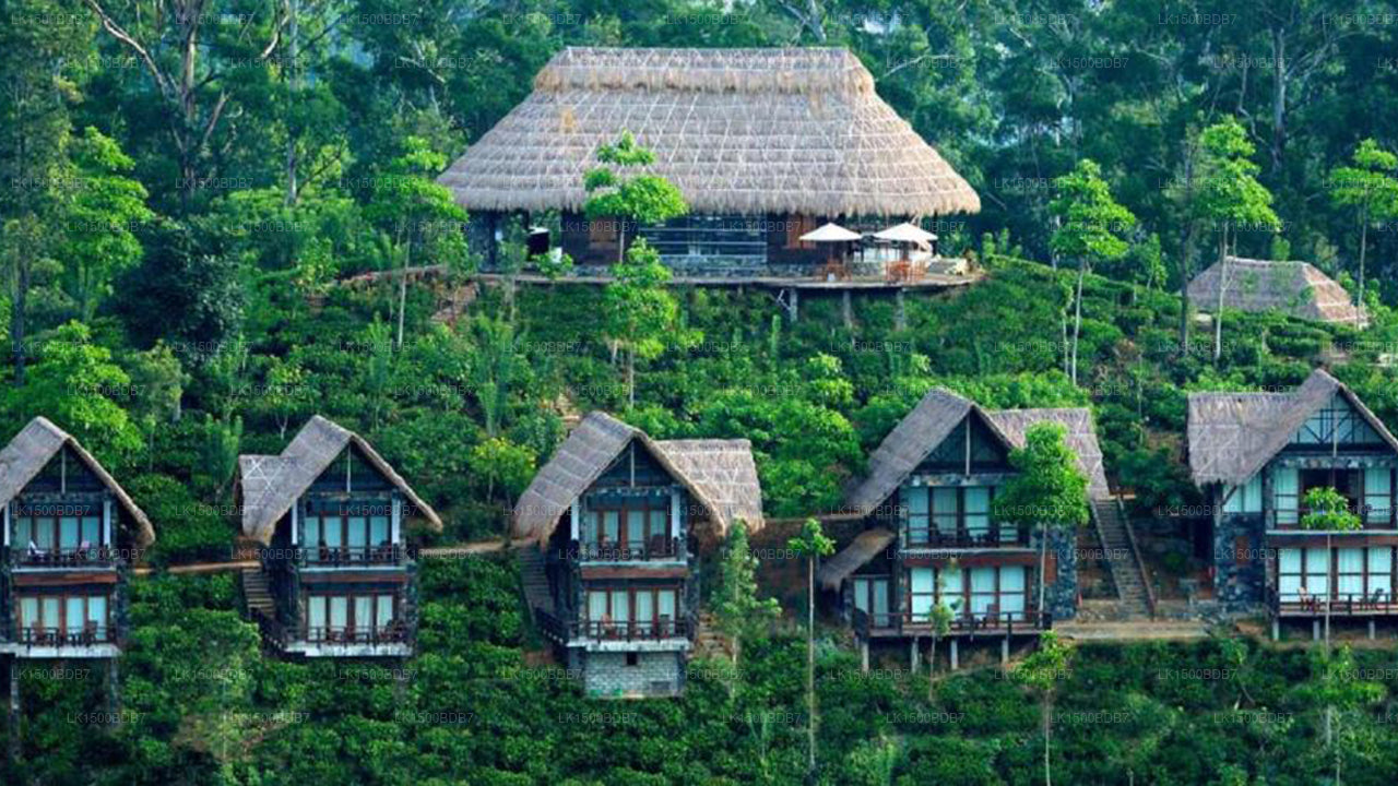 98 エーカーズ リゾート (エッラ)