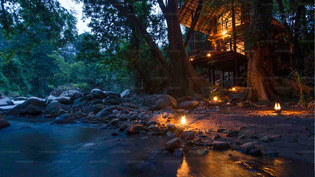 エラ ジャングル リゾート (エラ)