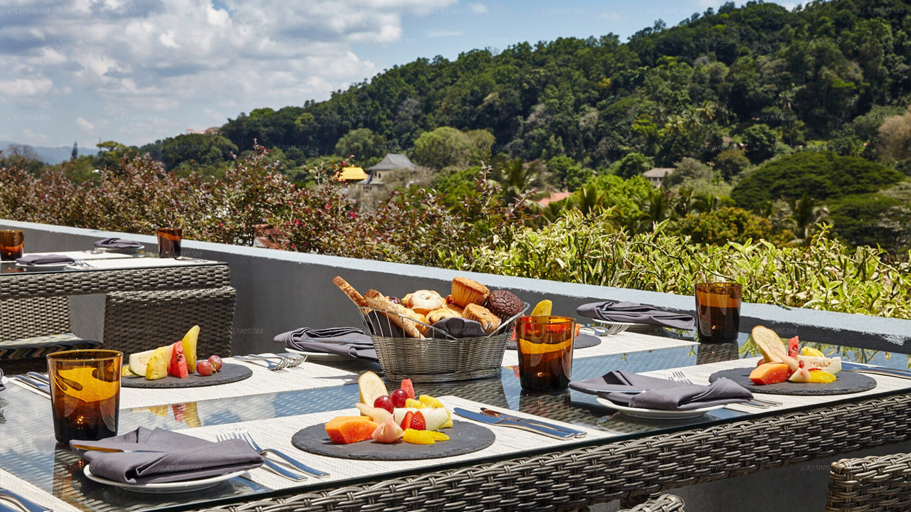 キャンディ・オゾ