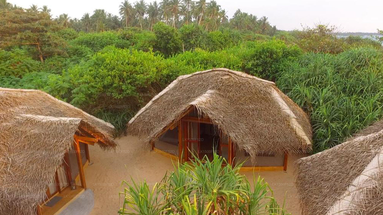 ジャングル ビーチ キャンプ (アフンガラ)