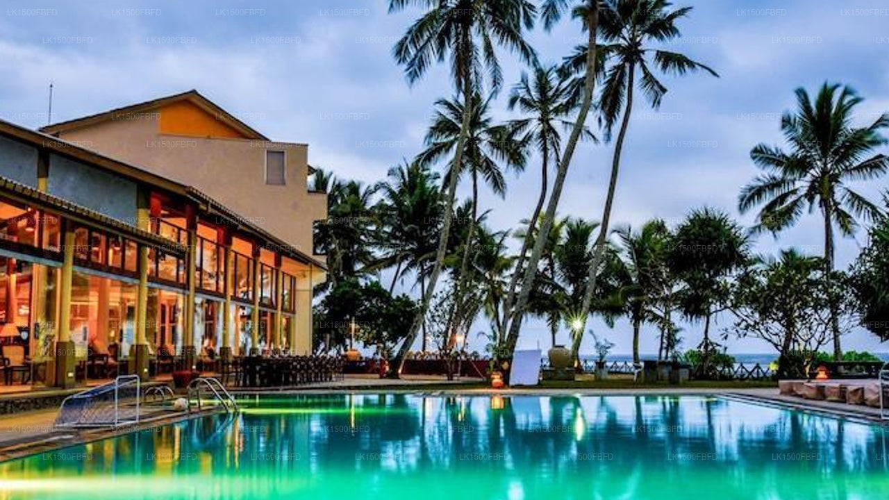 インサイト リゾート (アハンガマ)