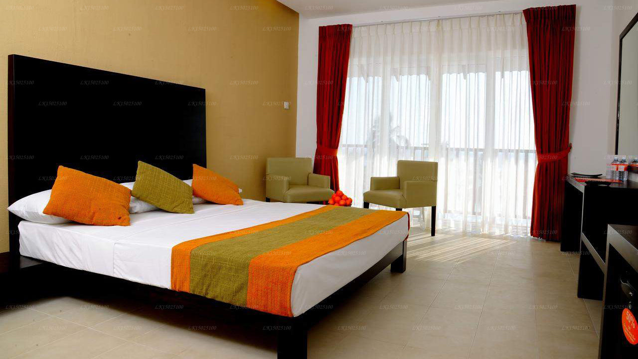 シトラス・ヒッカドゥワ、ヒッカドゥワ