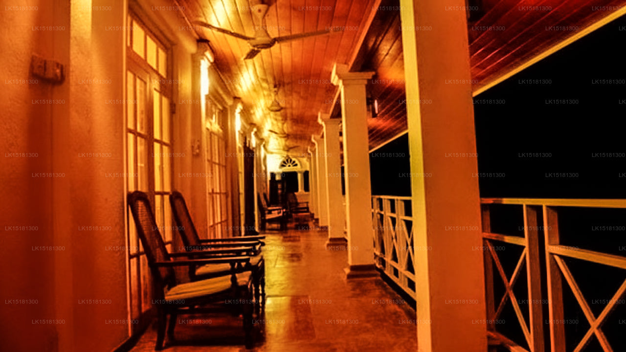 フォレストエッジ、キトゥルガラ