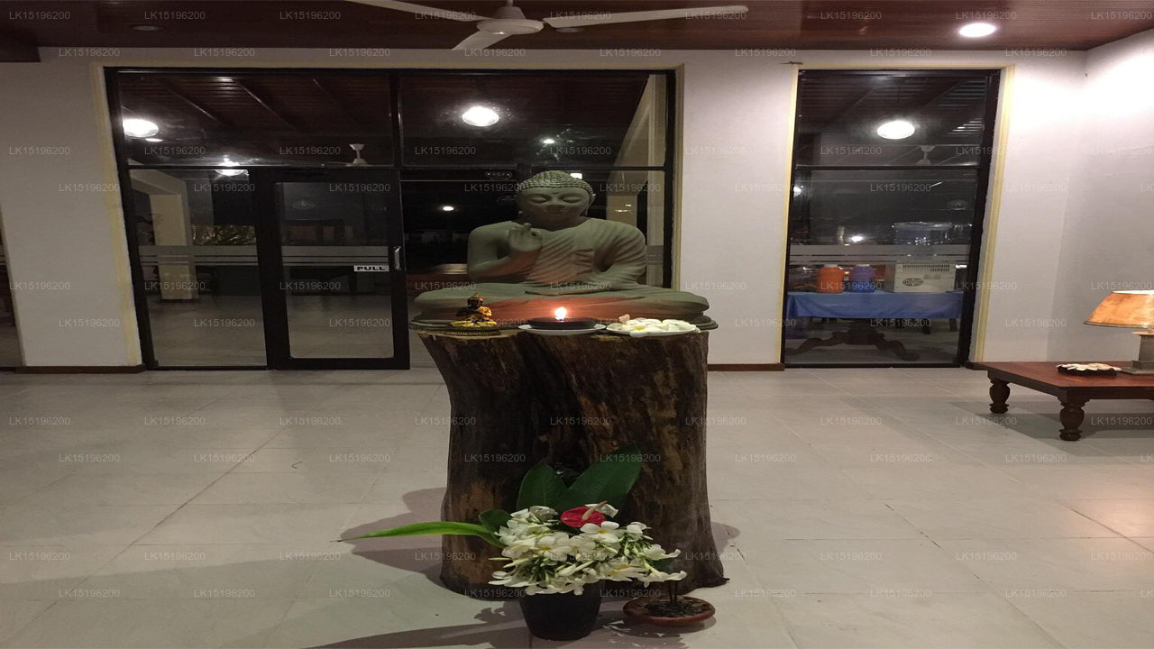 Hotel Garden Beach, Kosgoda