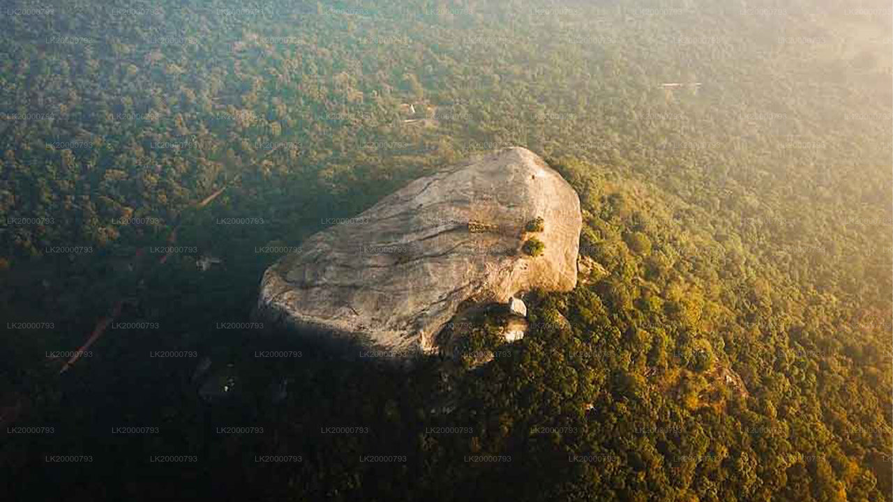 ピドゥランガラ島ガイド付きツアー(入場券付き)
