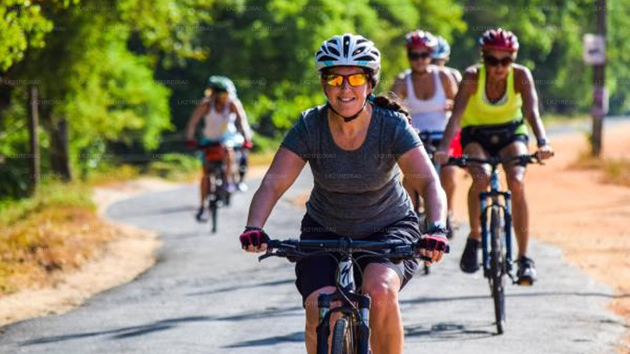 ゴールからの自転車レンタル