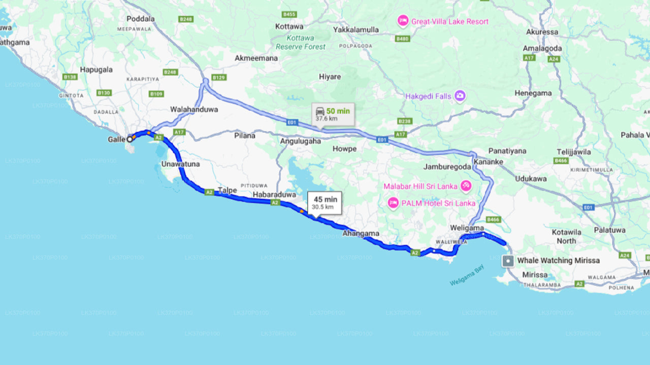 ヒリケティヤからの乗合船でのホエールウォッチング