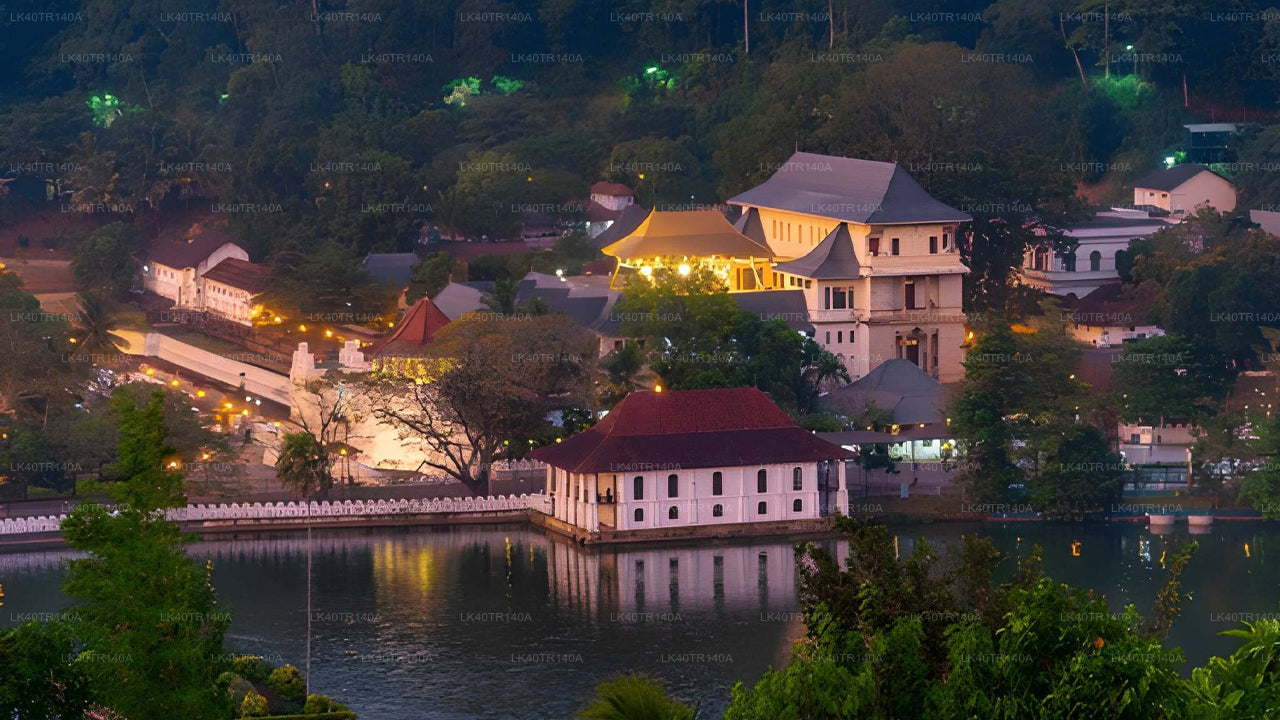 エラからキャンディへ:列車と車またはバンで楽しむ風光明媚な旅