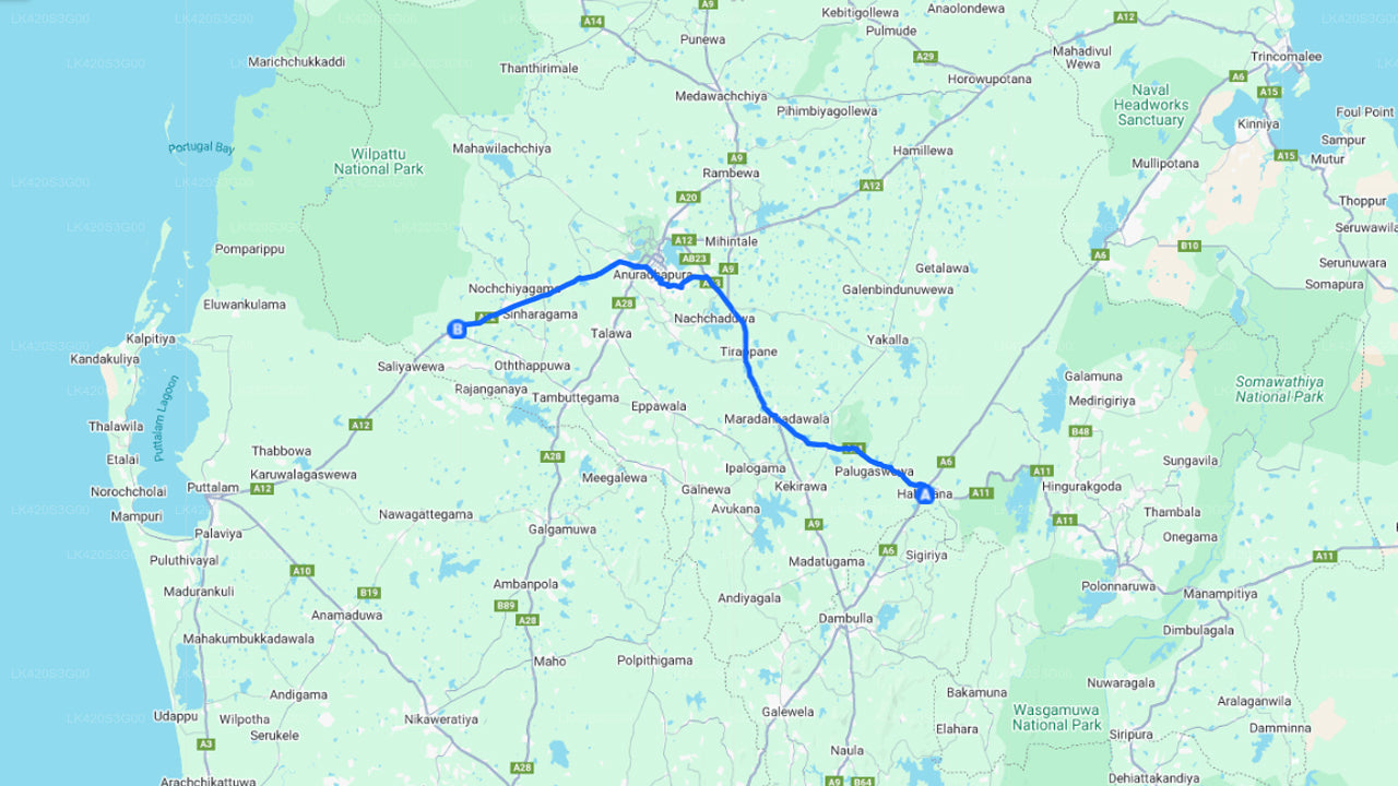 Habarana City to Wilpattu City Private Transfer