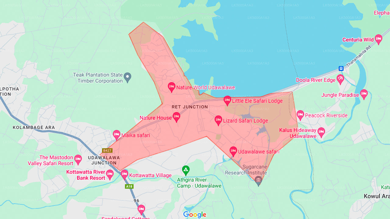 ウダワラウェ国立公園サファリ(エレファント・トランジット・ホーム・ビジット付き)