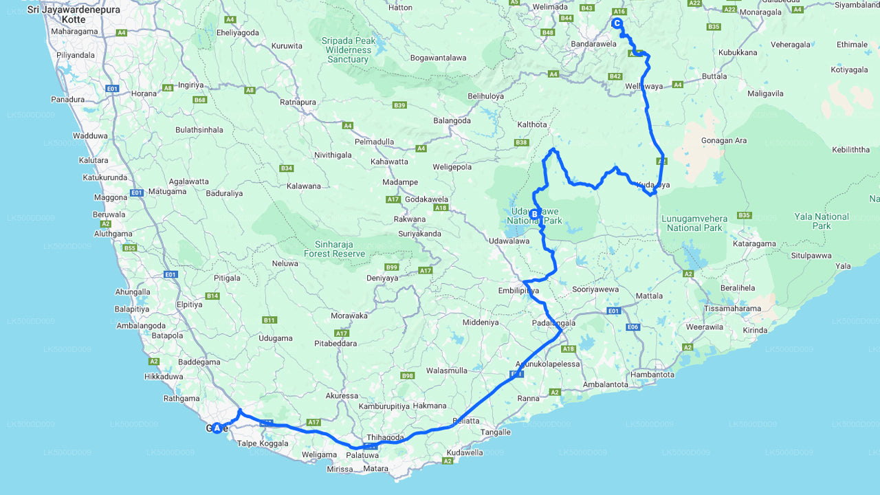 ウダワラウェ サファリ付きゴールからエッラへのプライベート ツアー