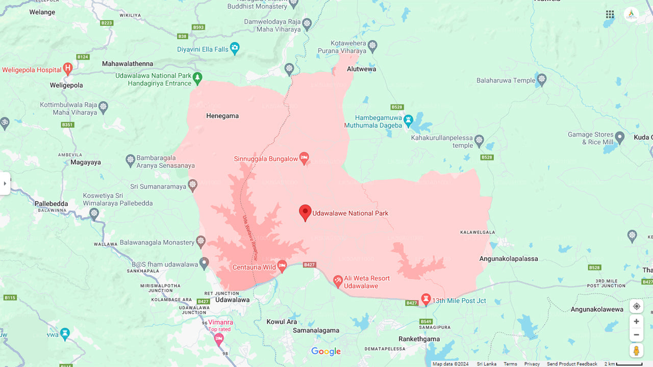 ウダワラウェ国立公園プライベートサファリ