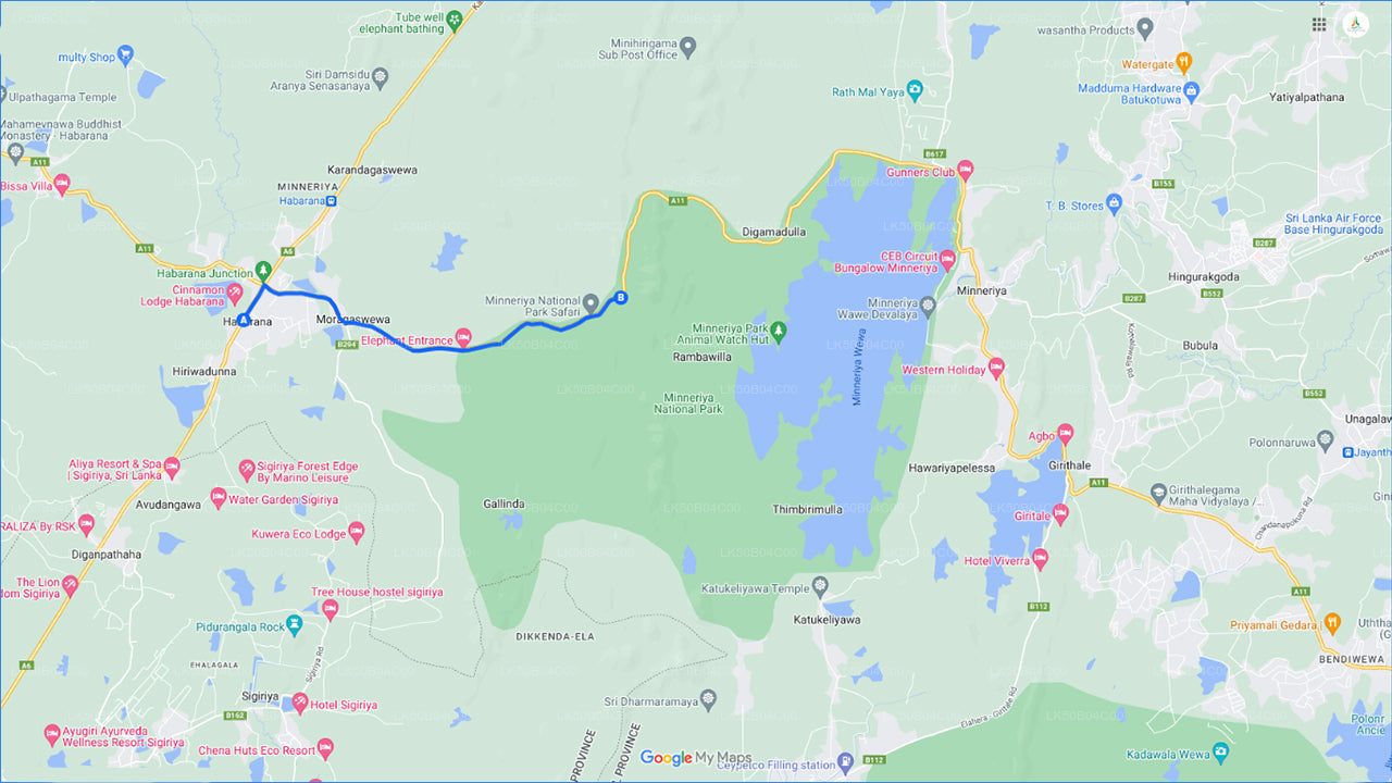 ハバラナ発ミネリヤ国立公園プライベートサファリ