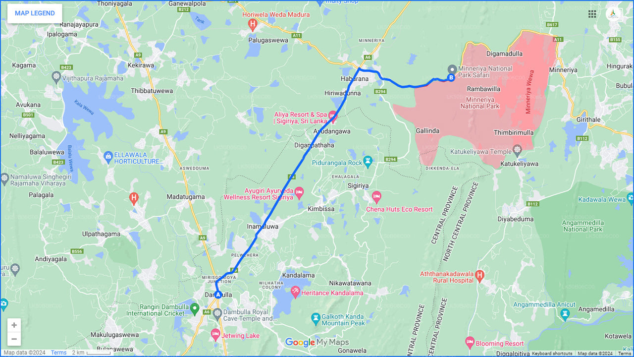 ダンブッラ発ミネリヤ国立公園プライベートサファリ