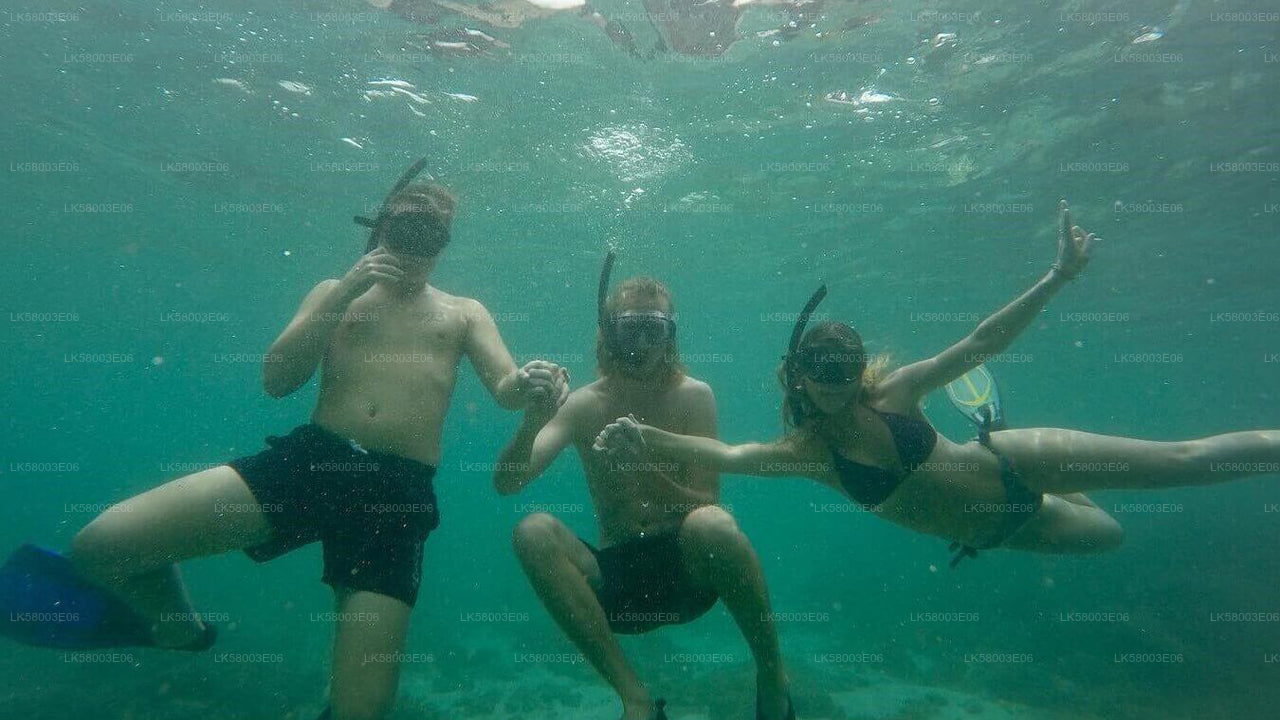 アハンガマからのシュノーケリング