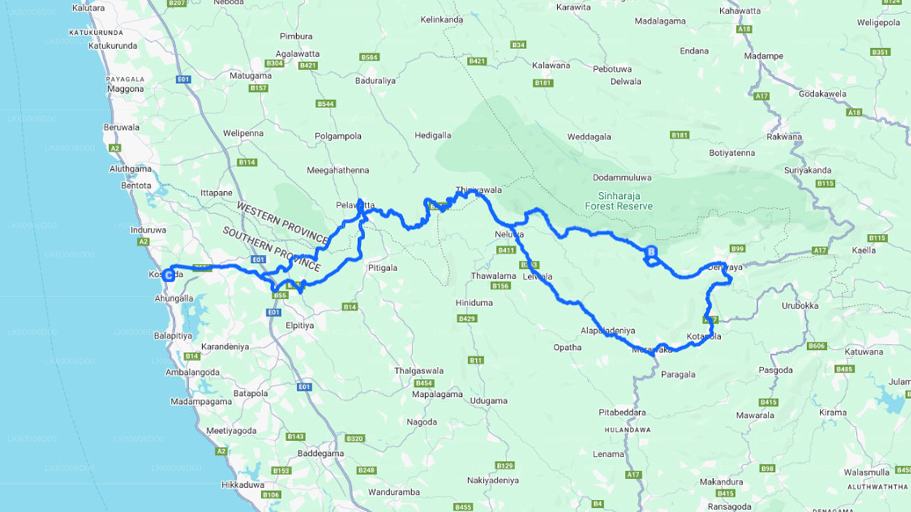 コスゴダ発シンハラジャ熱帯雨林ガイドツアー