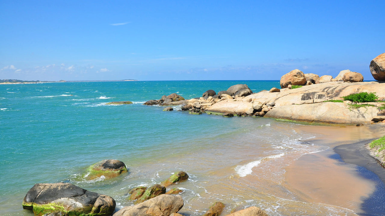 アルガンベイ発クマナ田園地帯と野生動物ツアー