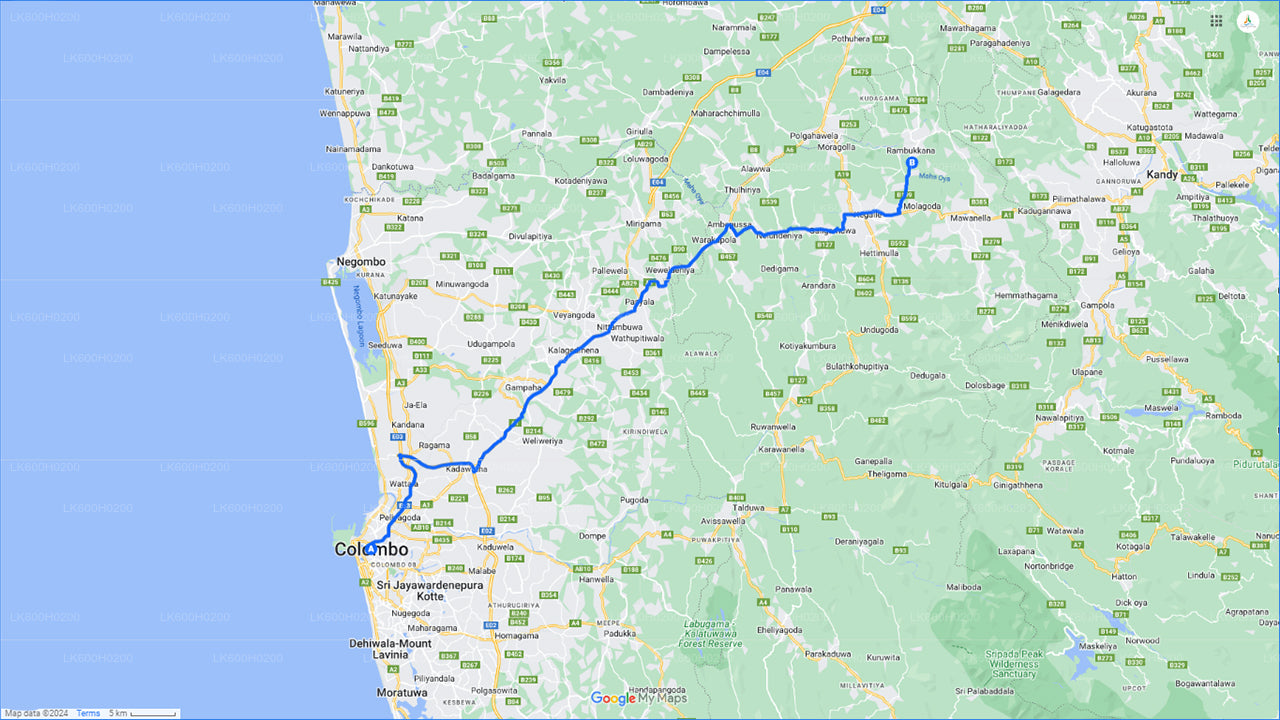 コロンボのピンナワラ象孤児院