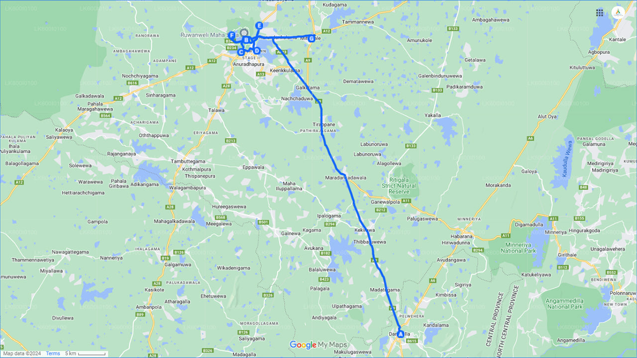 ダンブッラの聖地アヌラーダプラ