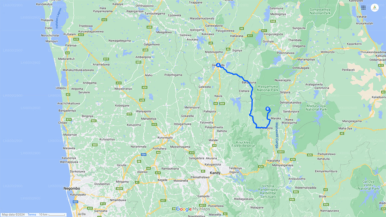 ダンブッラ発ワスガムワ国立公園サファリ