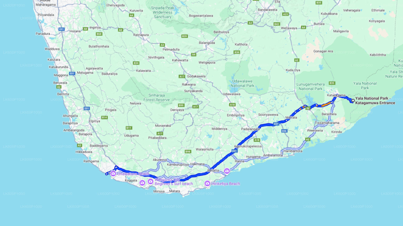 ゴール発ヤラ国立公園サファリ