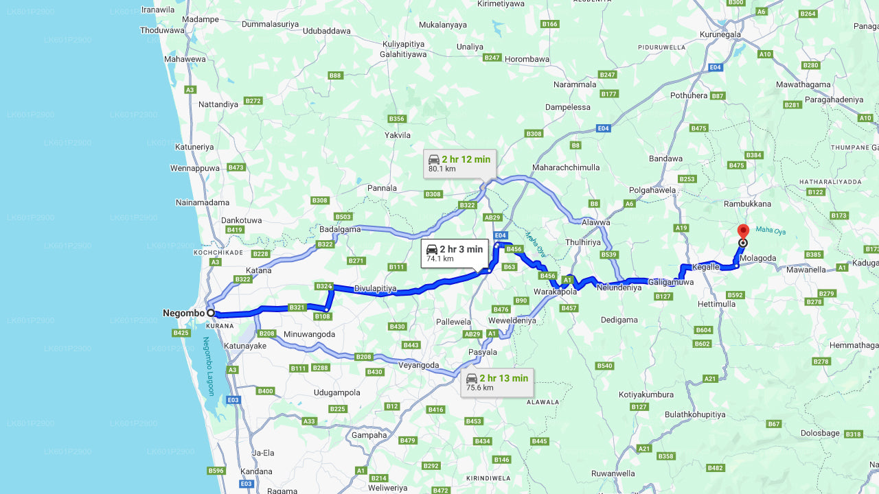 ネゴンボのミレニアム・エレファント・ファウンデーション