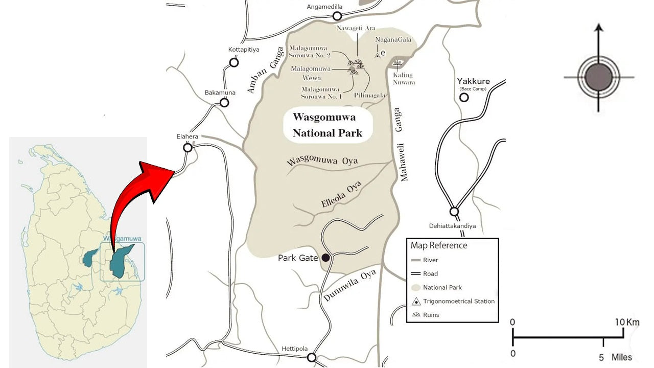 トリンコマリー発ワスガムワ国立公園サファリ