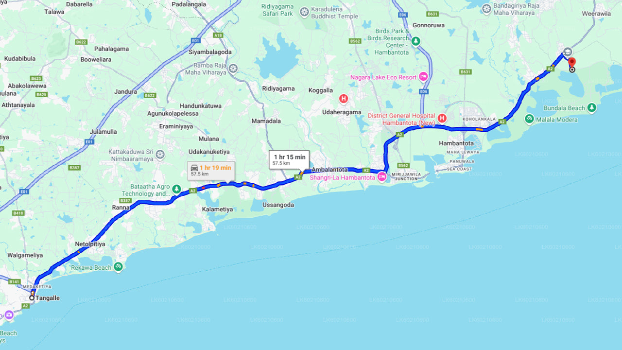 アハンガマ発ウダワラウェ国立公園サファリ