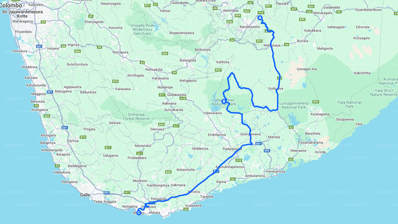 ウダワラウェ サファリ付きエラからミリッサへのプライベート ツアー