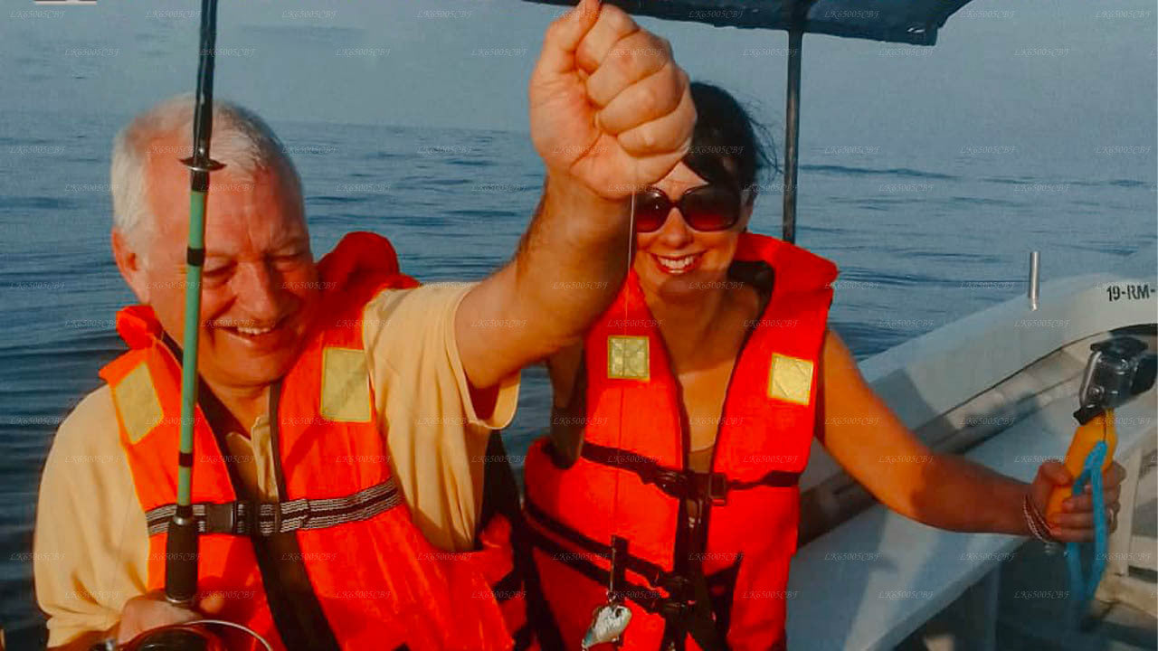 マウントラビニアでのスキューバダイビング