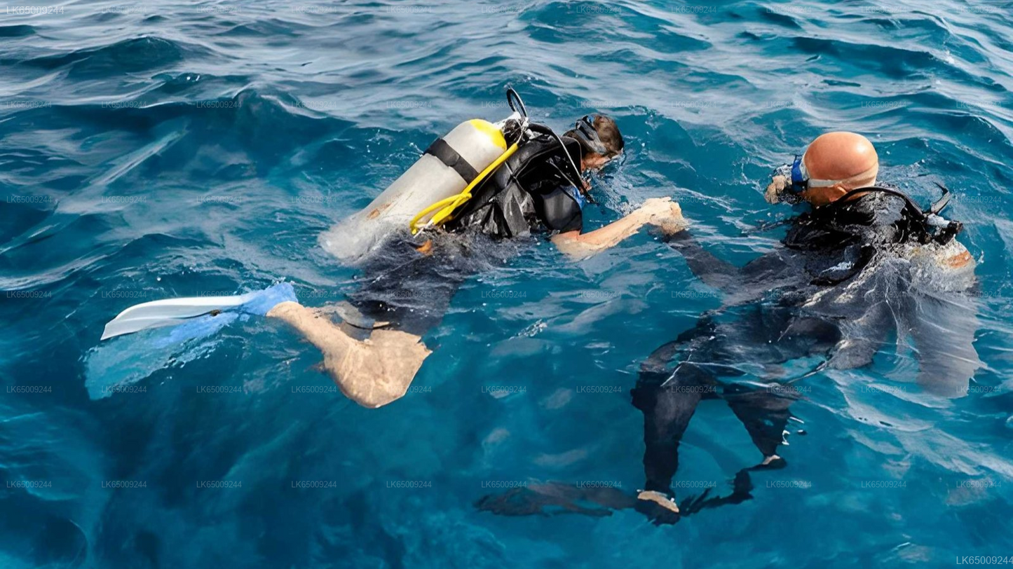 Scuba Diving from Mirissa