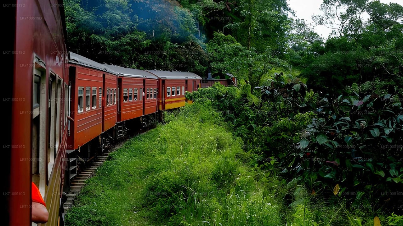 アンベウェラからエラへの列車の乗車(列車番号1005/1015)