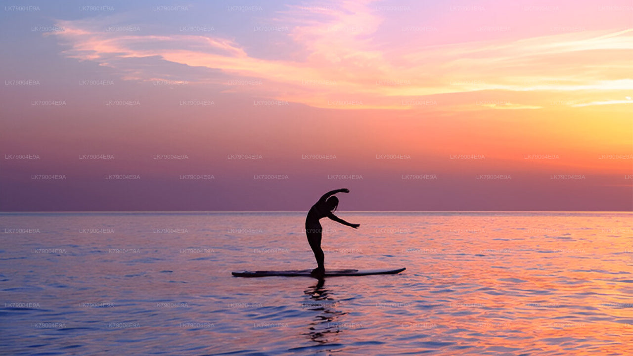 ミリッサ発ホエールウォッチングセーリングクルーズツアー