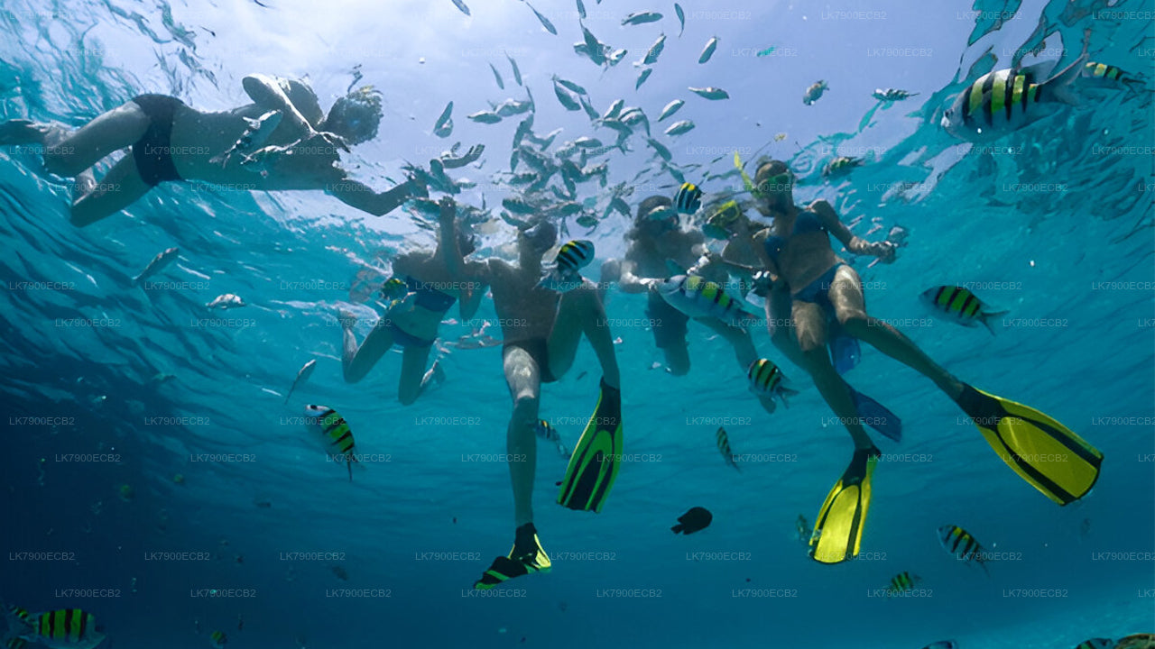 オーシャンダイヤモンド号でミリッサ発2泊クルーズ