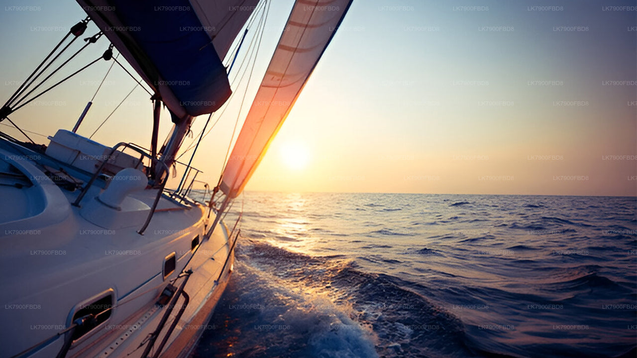 ミリッサでの6泊のクルーズバケーション