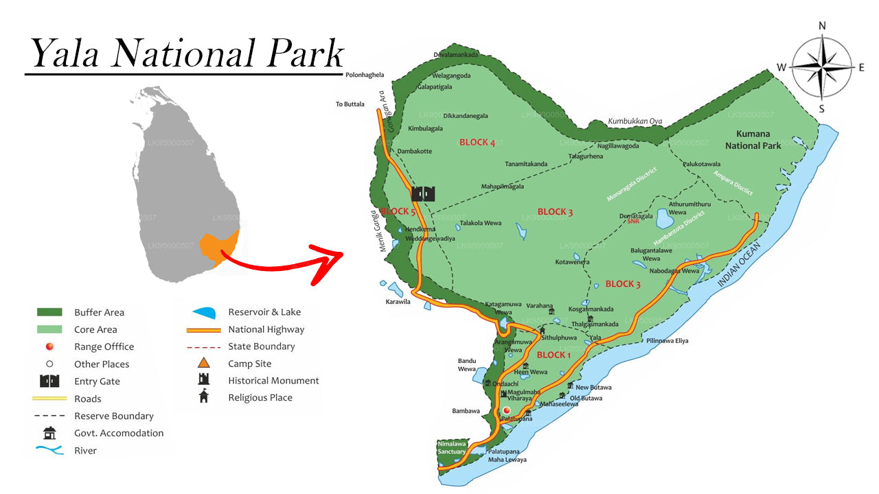 ベールワラ発ヤーラ国立公園サファリ