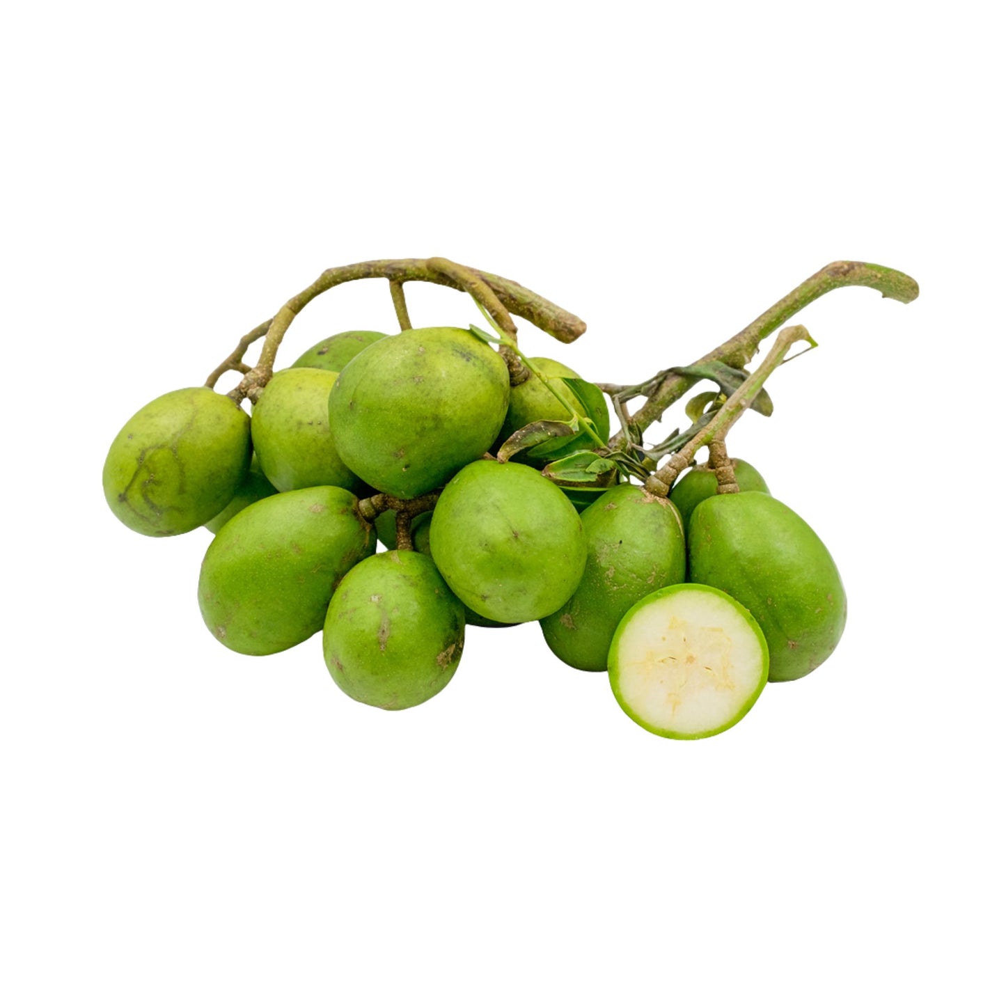 アンバララ (ඇඹරැල්ලා මිටි) 果樹