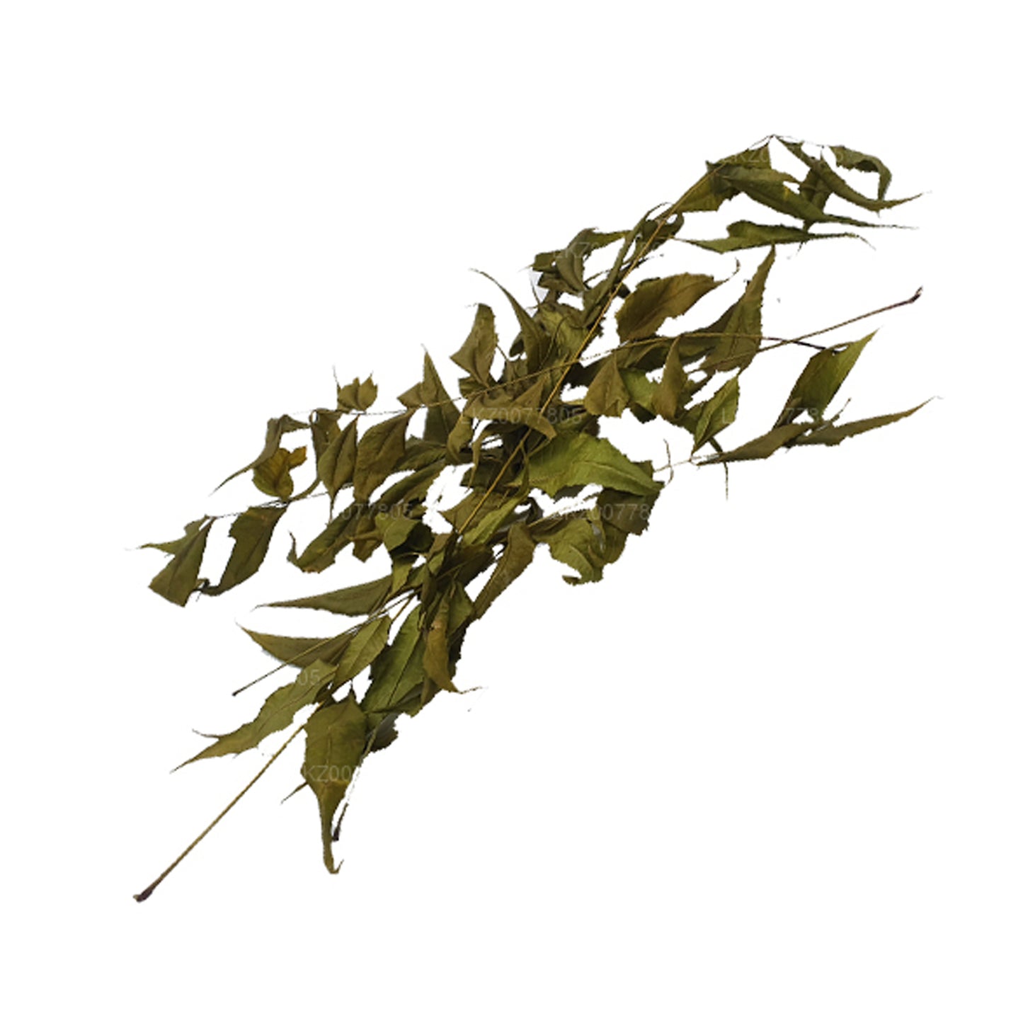 ラックプラ 乾燥ニームの葉 (100g)