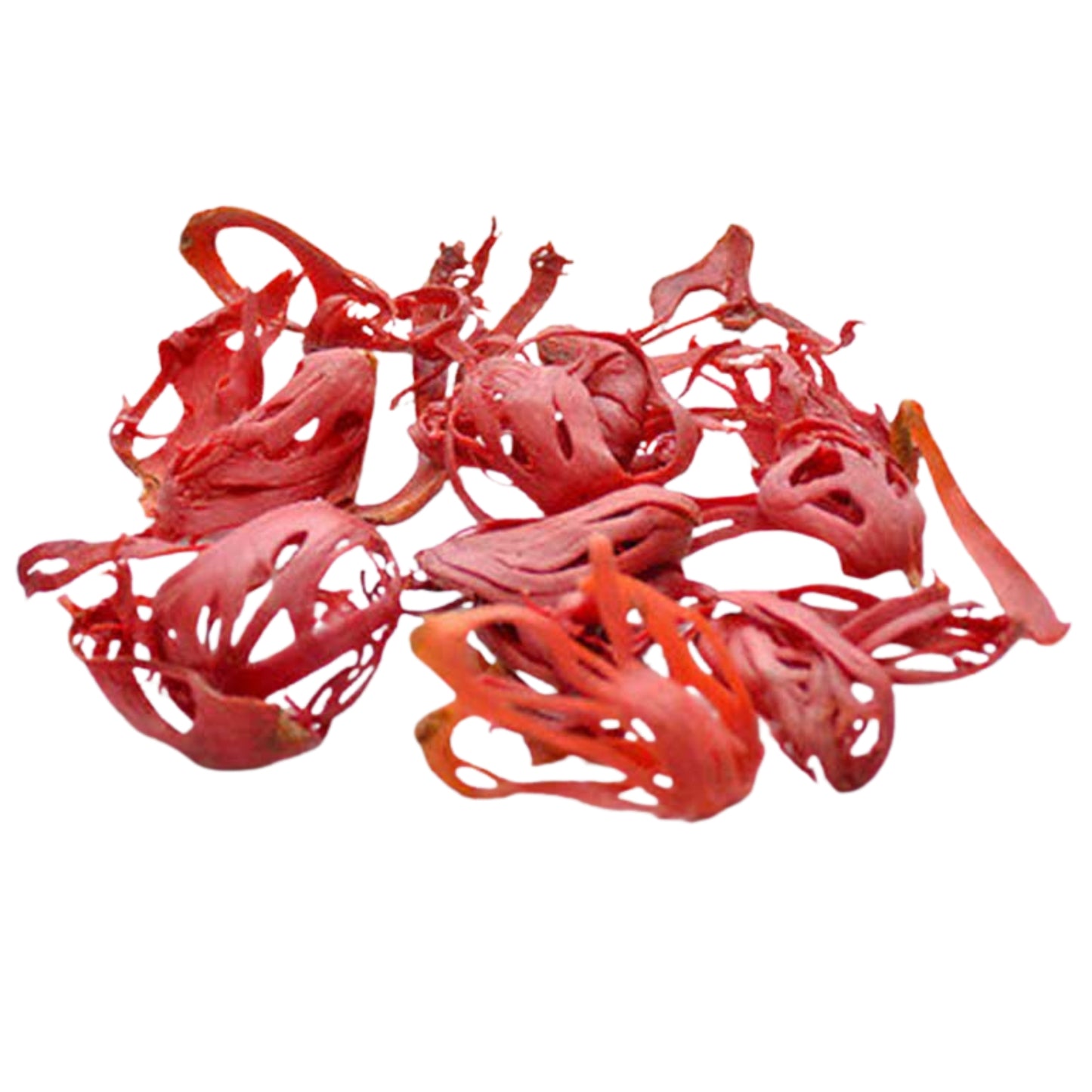 ラクプラ メイス ホール (100g)